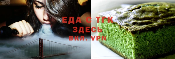 гидра Ельня