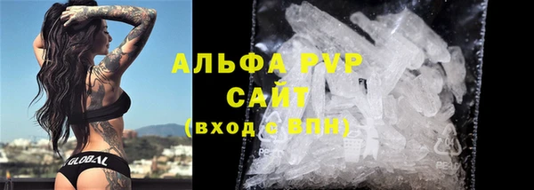 гидра Ельня