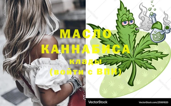 гидра Ельня