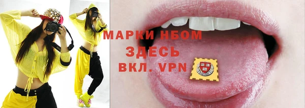 гидра Ельня