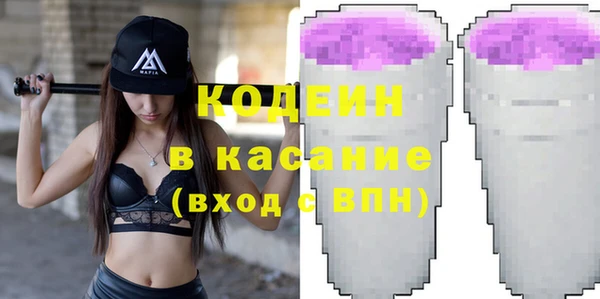 гидра Ельня