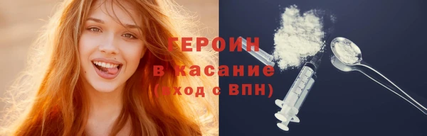 гидра Ельня