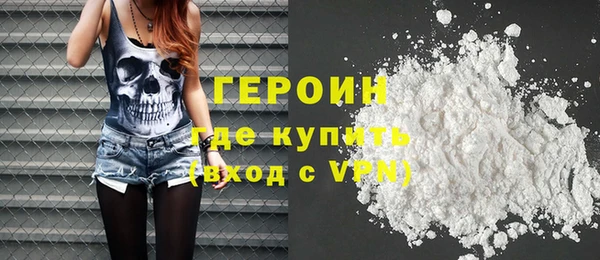 гидра Ельня