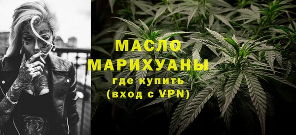гидра Ельня