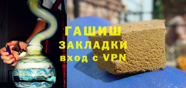 гидра Ельня