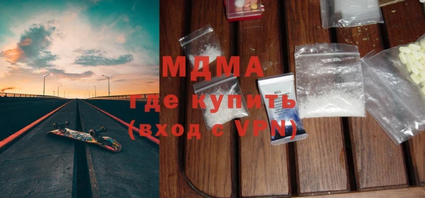 гидра Ельня