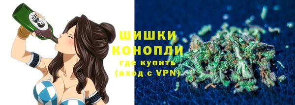 гидра Ельня