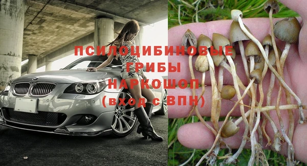 spice Заводоуковск