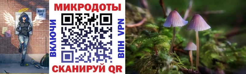 Галлюциногенные грибы прущие грибы  Купить где  Новосиль 
